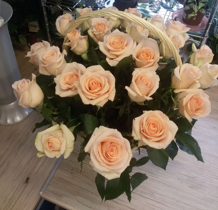 25 роз в корзине ,Эквадор, 60см